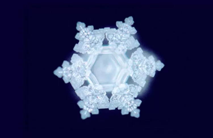 Les Messages de l'Eau Masaru Emoto