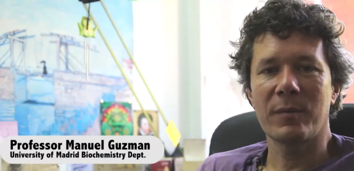 Le cannabis et ses propriétés anticancéreuses : ce que révèlent les recherches scientifiques