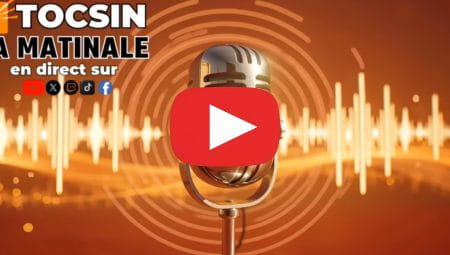 tcsin 28eme état de l'UE numérique (1)